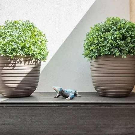 Apartament Patio De Flores