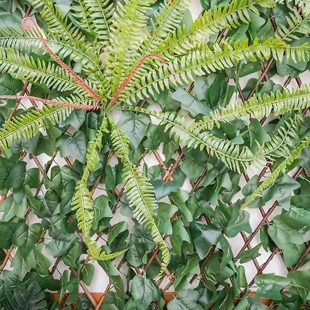 Patio De Flores Lägenhet *